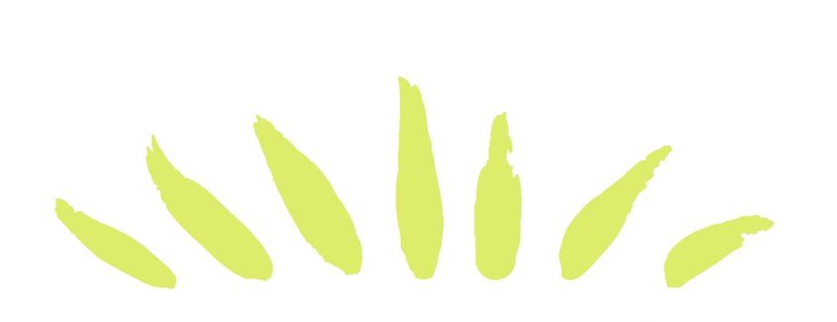 Cover Photo