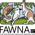 Logo Photo