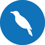 Logo Photo